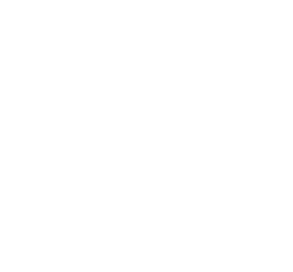 eDist Security Logo